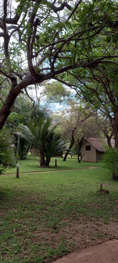 Shumba Safari Bush Camp Villa Hoedspruit Luaran gambar